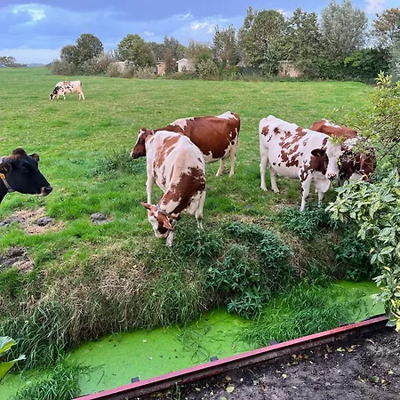 Holiday home Field View Warmond