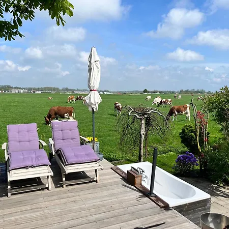 Field View * Warmond