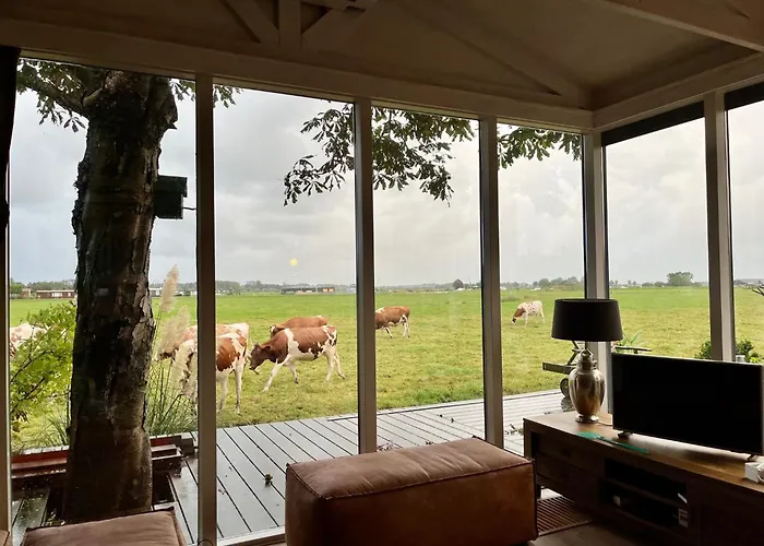 Tatil Evi Field View Warmond