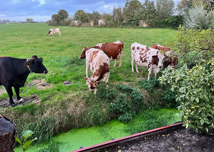 Casa vacanze Field View Warmond