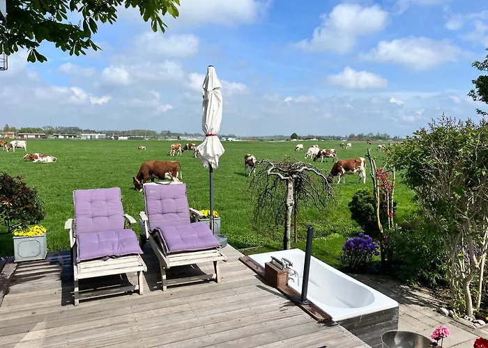 Field View * Warmond